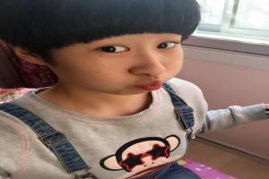 赞美母爱的句子用排比和比喻句