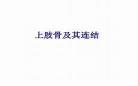 帝娇林宴歌全文免费阅读