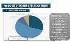 网红和电竞大佬是cp