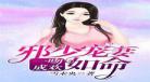 闹婚之宠妻如命