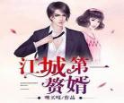 赘婿有声小说800集