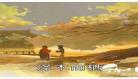 泽木而栖小说免费阅读txt
