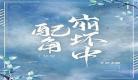 配角人生小说