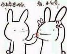 类似全球高考的双大佬无限流小说