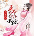 各种王爷王妃的小说