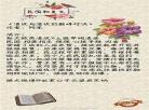好看的养成文小说