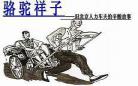 骆驼祥子第十九章人物品质