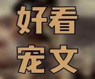 现代言情宠文肉多