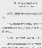 小说《别闹醋先生》