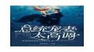 小说总统宠妻太高调