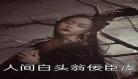 佞臣作者:白衣若雪