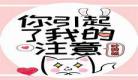叶斐然你引起了我的注意txt下载
