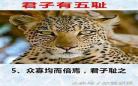 君子有九思番外