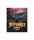 都市之绝世统帅
