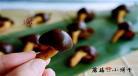 小蘑菇by一十四 小蘑菇by一十四洲结局