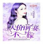 天价前妻txt下载云上暖：豪门天价前妻txt下载电子书