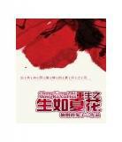夏花小说作品生如爱如朝？生如夏花什么意思