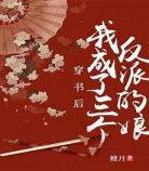 穿书女配总裁夫人想出家
