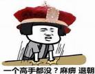 我真的什么都不会cp