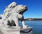 河中石兽的翻译简短一点