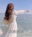 放弃爱你小说讲什么句子|放弃爱你番外小说