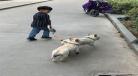 适合四岁孩子看的绘本