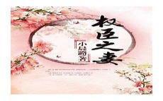 嫁给权臣之后格格党